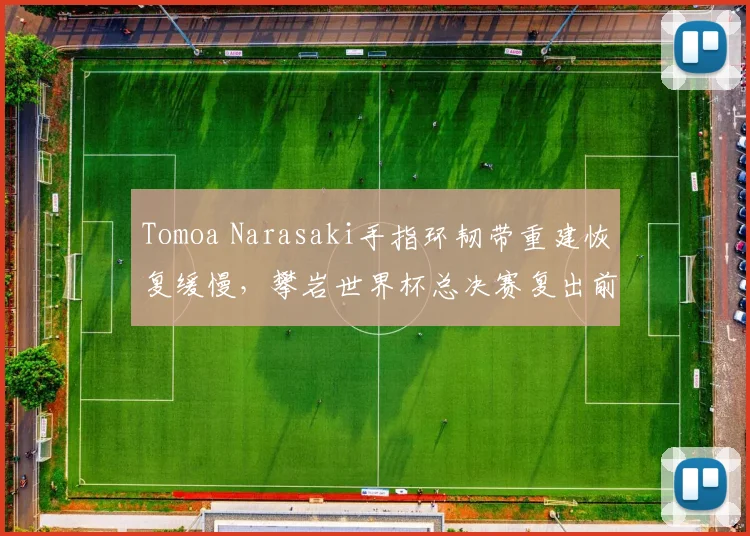 Tomoa Narasaki手指环韧带重建恢复缓慢，攀岩世界杯总决赛复出前景堪忧
